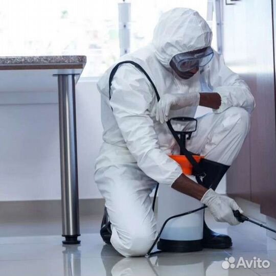 Уничтожение тараканов клопов и грызунов