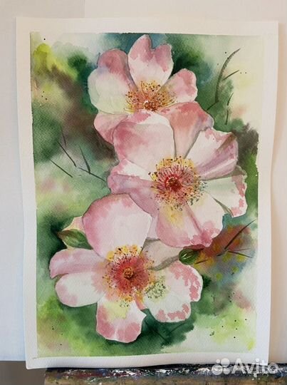 Картины акварель цветы