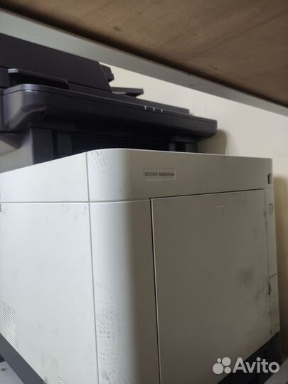 Kyocera ecosys M6030cdn: