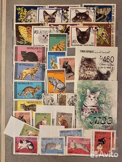 Флора и фауна 2