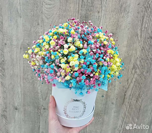 Радужная гипсофила