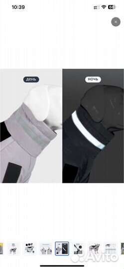 Куртка для средних собак