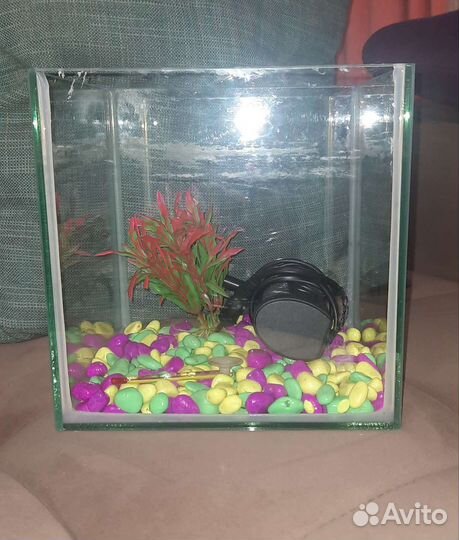 Аквариум