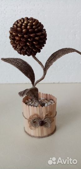 Топиарий из кофейных зёрен