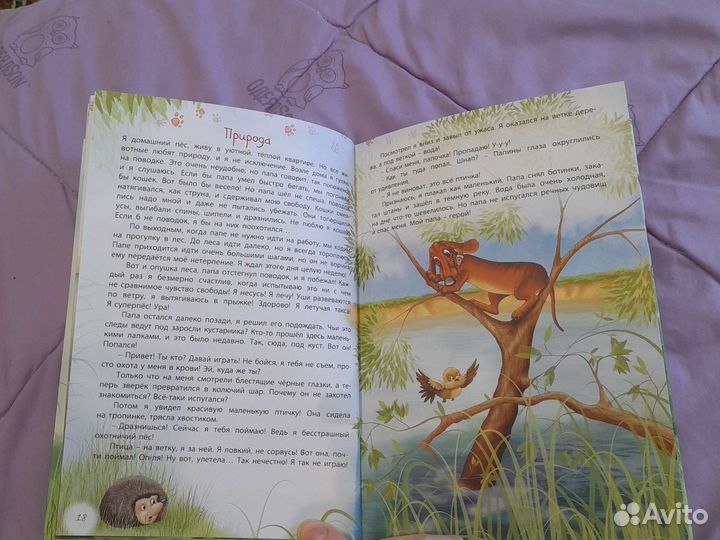 Книга проделки шнапа