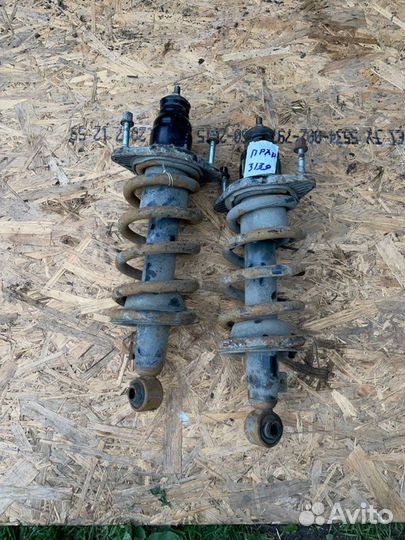 Амортизатор подвески в сборе (пара) задний Honda