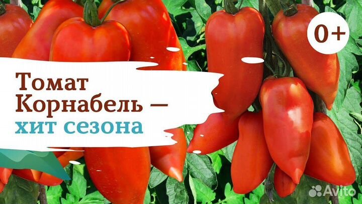 Семена томата Корнабель F1 Франция