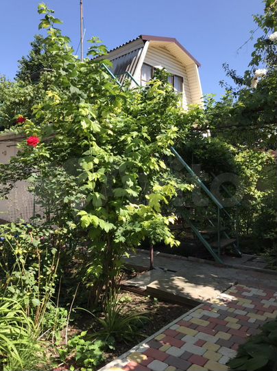 Дом 20 м² на участке 3 га