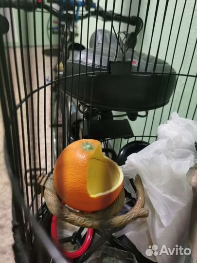 Большая клетка для птиц