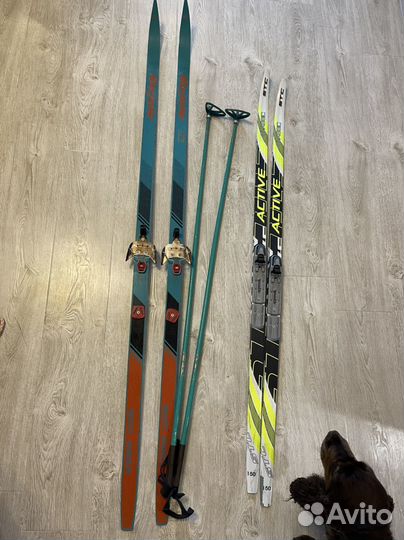 Беговые лыжи active и карелия