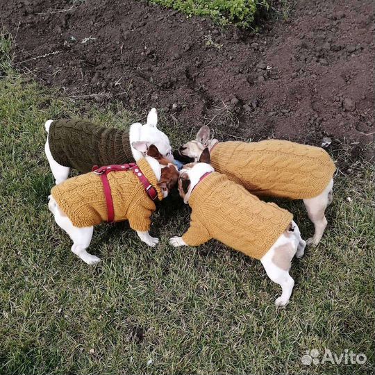 Тёплая Одежда