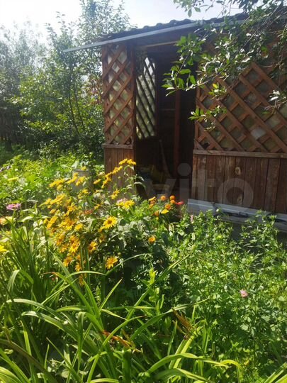 Дача 20 м² на участке 5 га