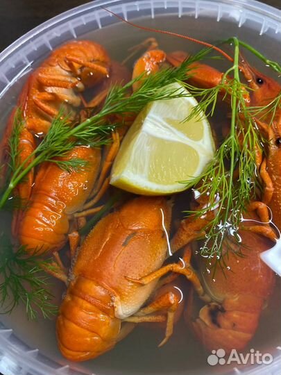 Раки варёные с доставкой на дом. Челябинск