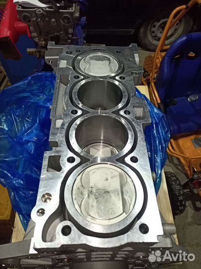 G4KD шорт блок новый