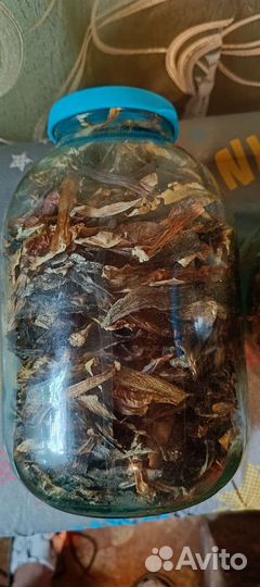 Грибы сушёные