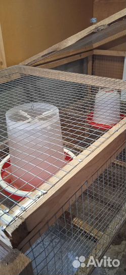 Клетка для любой птицы