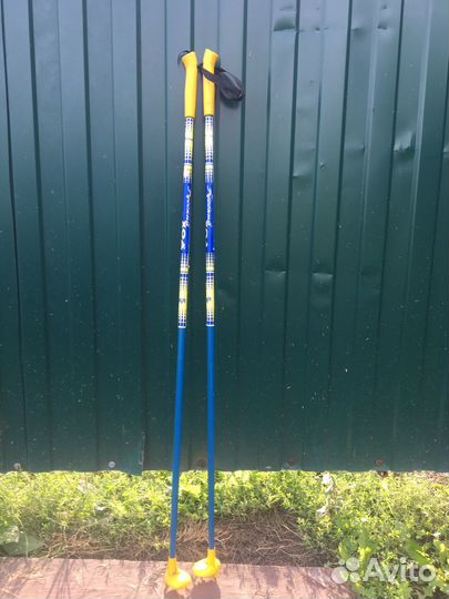 Лыжные палки