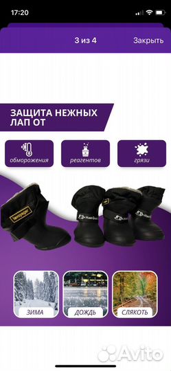 Ботинки для собак