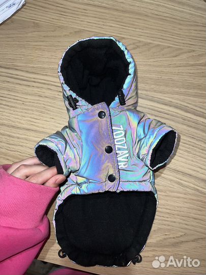 Одежда для собак мелких пород