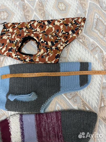 Одежда для маленьких пород собак