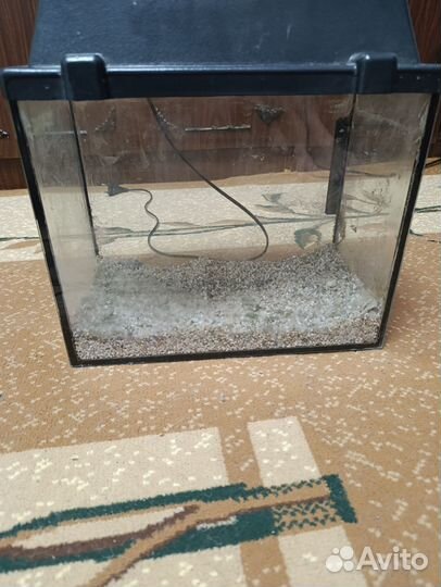 Аквариум