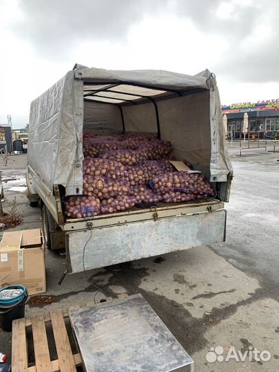 Продам картофель с Увильдов высший сорт