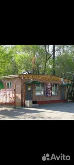 Бармен, официант