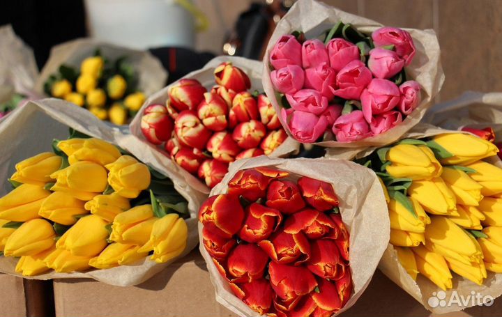 Тюльпаны к 8 марта