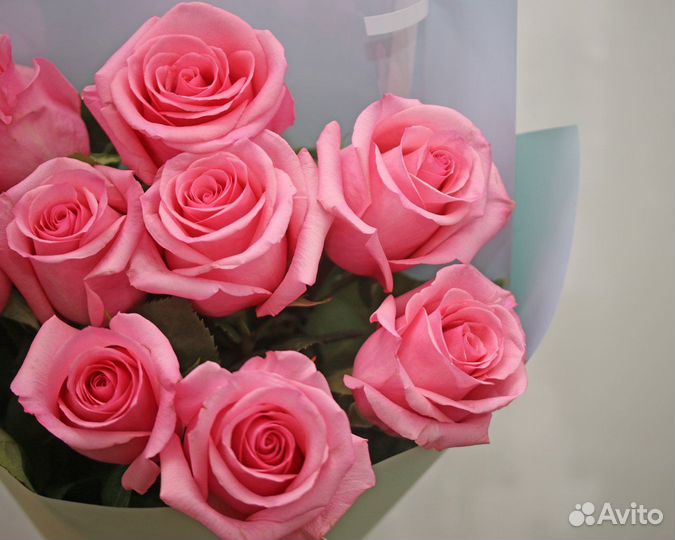 Букет из 9 розовых роз premium 40-50 см (Эквадор)