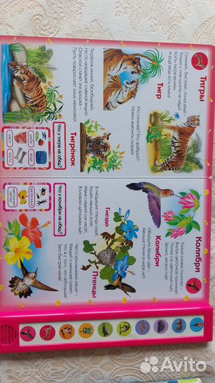 Говорящие книги нажималка