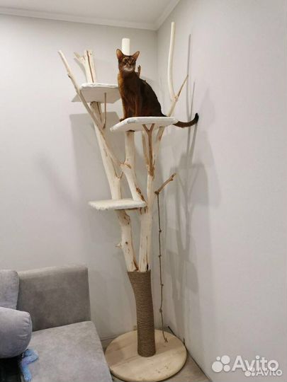 Дерево для кота, когтеточка, дом на дереве,котодом