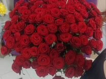 Розы красные 65 см Голландия