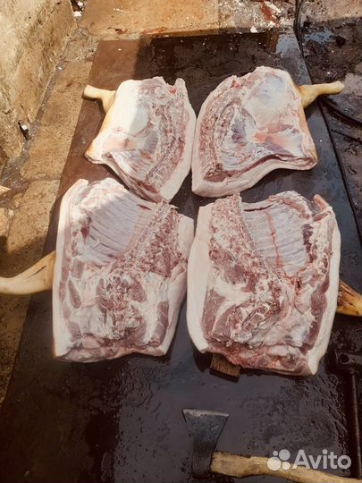 Домашняя свинина