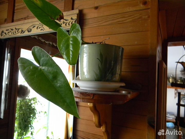 Полка для цветов