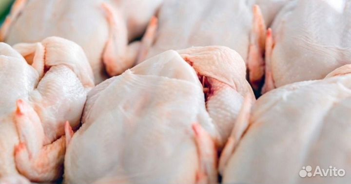 Мясо домашней курицы(бройлер)