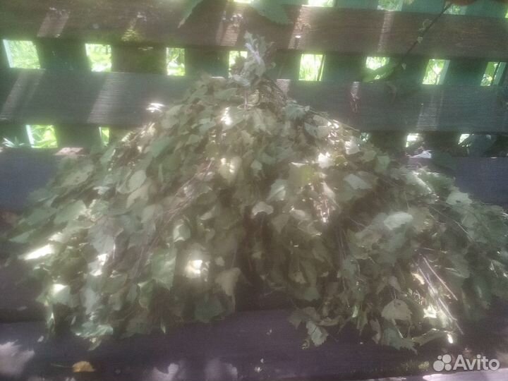 Берёзовые веники для парной