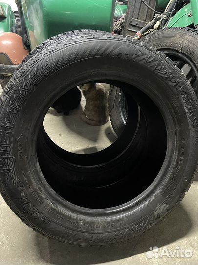 Gislaved NordFrost 100 185/65 R15