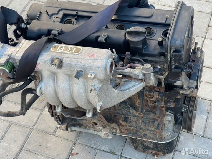 Двигатель Elantra Lantra Tiburon 1.6 G4GR
