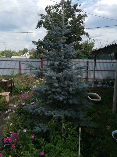 Дом 20 м² на участке 6 сот.