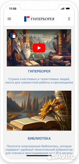 Разработка мобильного приложения/web приложений