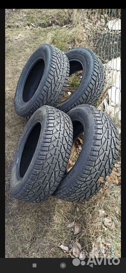 Tigar Ice 195/65 R15 95T