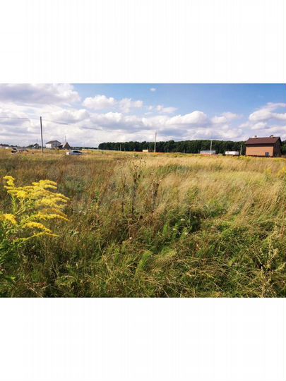 Участок 12 сот. (ИЖС)