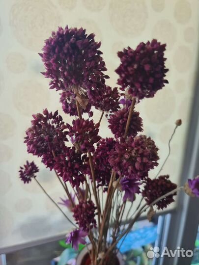 Букет из сухоцветов,сухоцвет