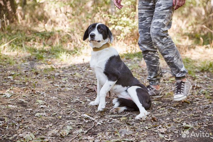 Красавица Химия ищет дом