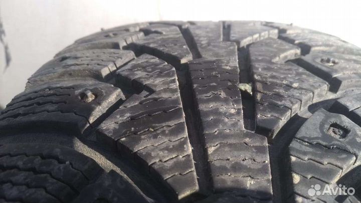 Nokian Tyres Hakkapeliitta 5 215/60 R17 100