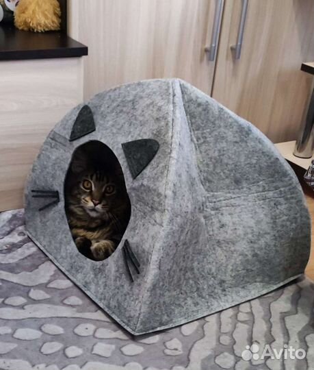 Домик для кошки новый