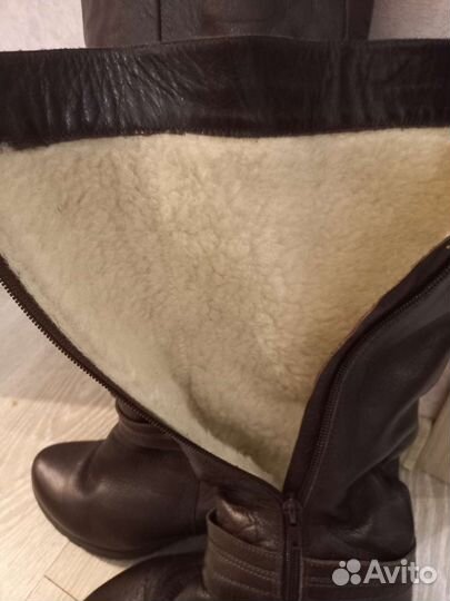 Сапоги женские зимние