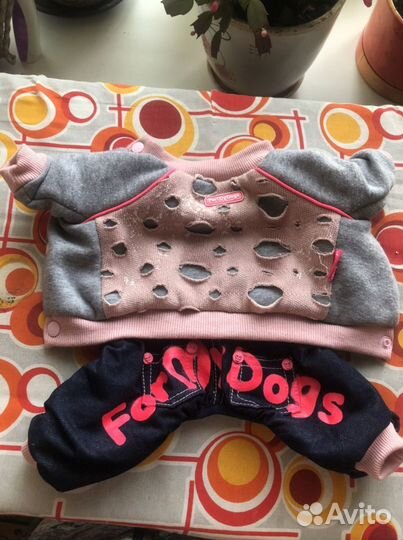 Одежда для маленьких собак