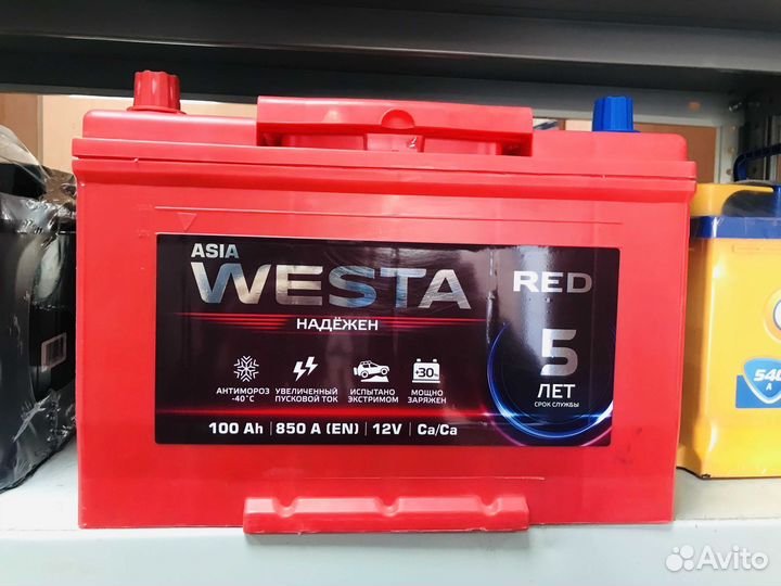 Аккумуляторы 100 Asia Прямой