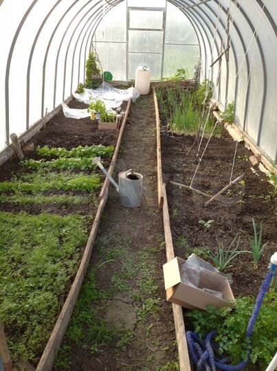 Дом 60 м² на участке 15 сот.